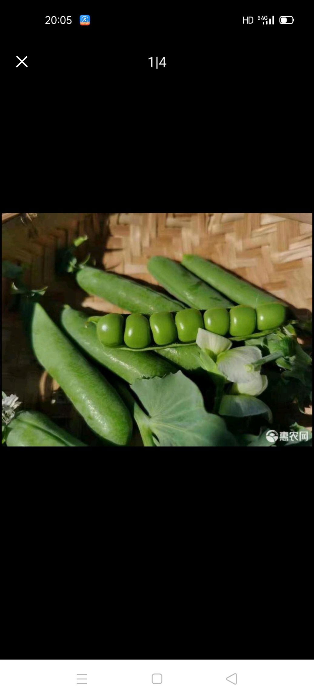 豌豆米 水晶豌豆，又名菜豌豆