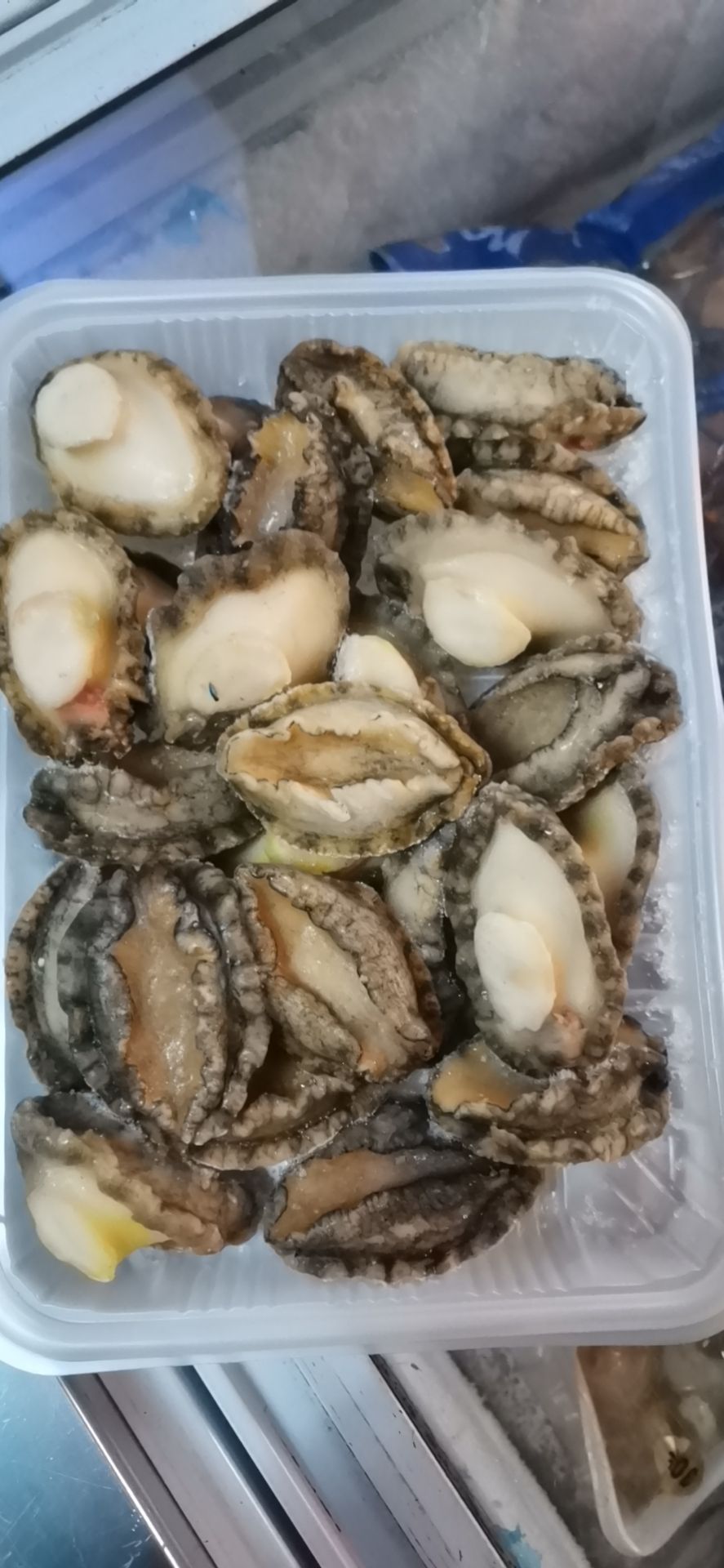 鲍鱼肉冻鲍鱼肉25头30头