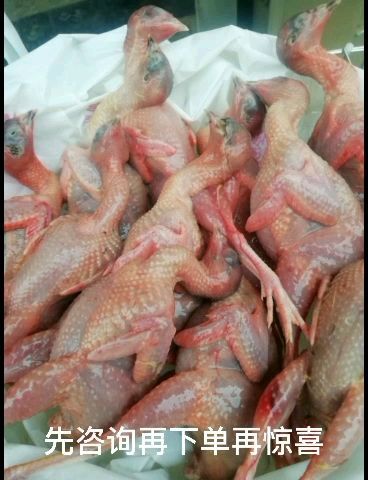 萍乡白条鸡（现杀芦丁鸡）