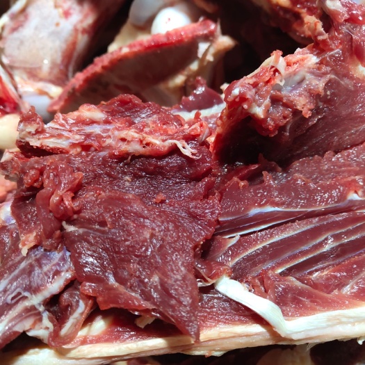 东光县鲜马肉 生熟马肉驴肉，副产品