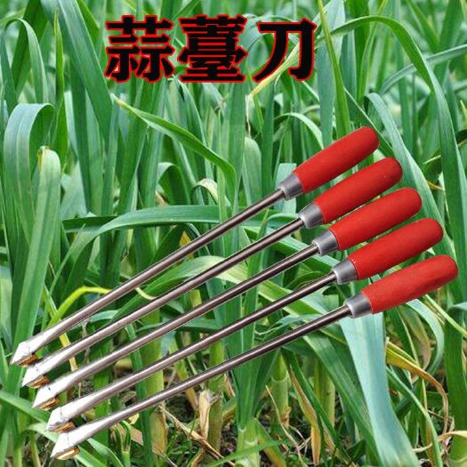 乐清市蒜薹收割工具蒜薹刀扎蒜苔工具蒜苔针大蒜地膜抠眼抠孔抽蒜苔刀