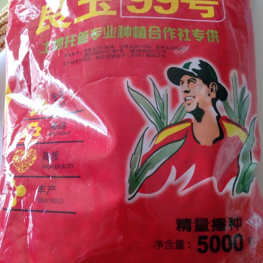 柘城县玉米品种良玉99