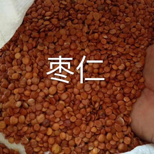 玉林枣仁   中材批发零  精选酸枣仁 枣仁  枣仁