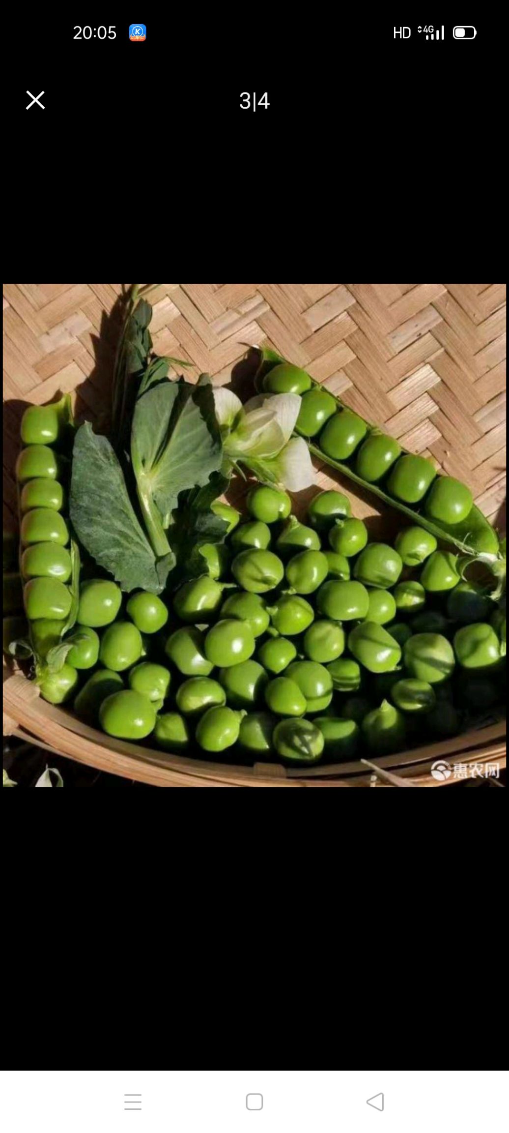 豌豆米 水晶豌豆，又名菜豌豆