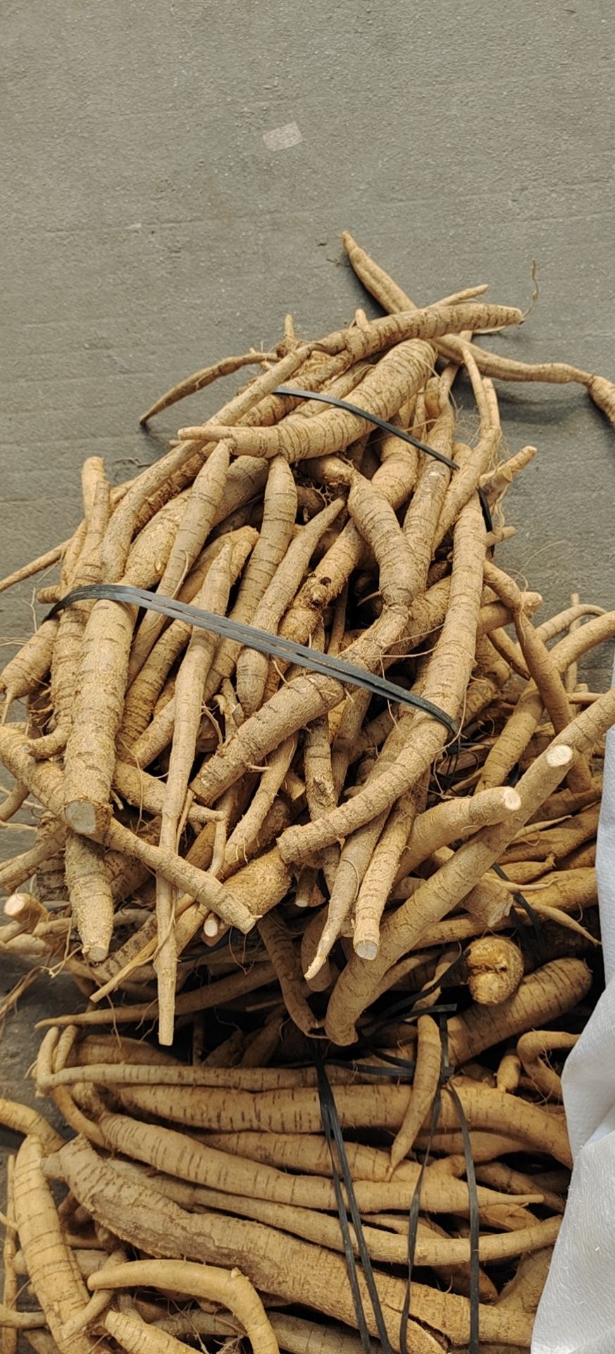 牛大力  ，500亩产地大量有货供应，一手货源，。