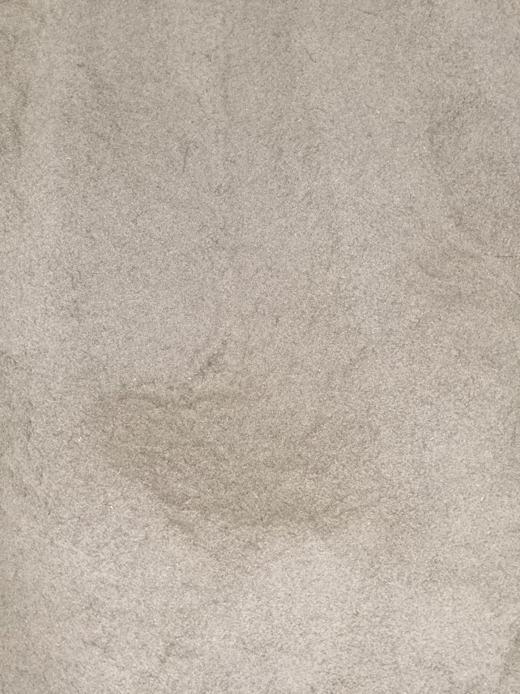 白蒿种子  茵陈种子(白蒿)