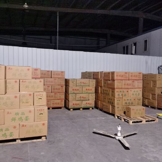 肥东县粉壳蛋 粉蛋批发 大量供应粉蛋 产地直发