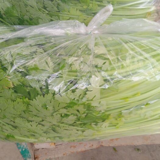 淮安精品香芹大量上市，便宜的价格打市场营销