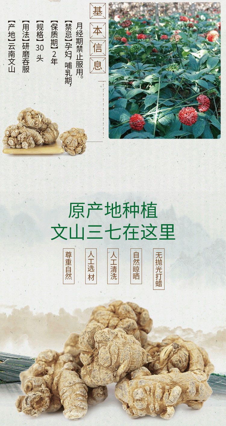 【三七种植农户发货】云南文山春三七,文山田七20头30头60