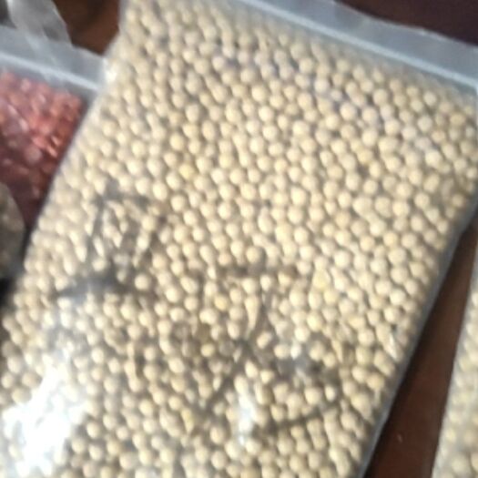 阿荣旗黄大豆 有500吨大豆出卖