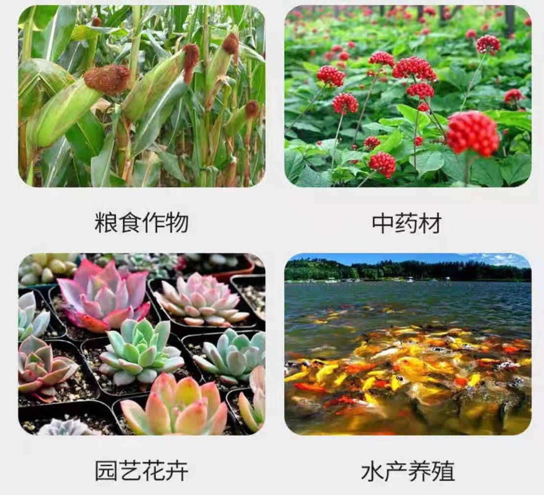 氨基酸肥料  氨基酸原粉 农用氨基酸 水产养殖 全水溶补充氮