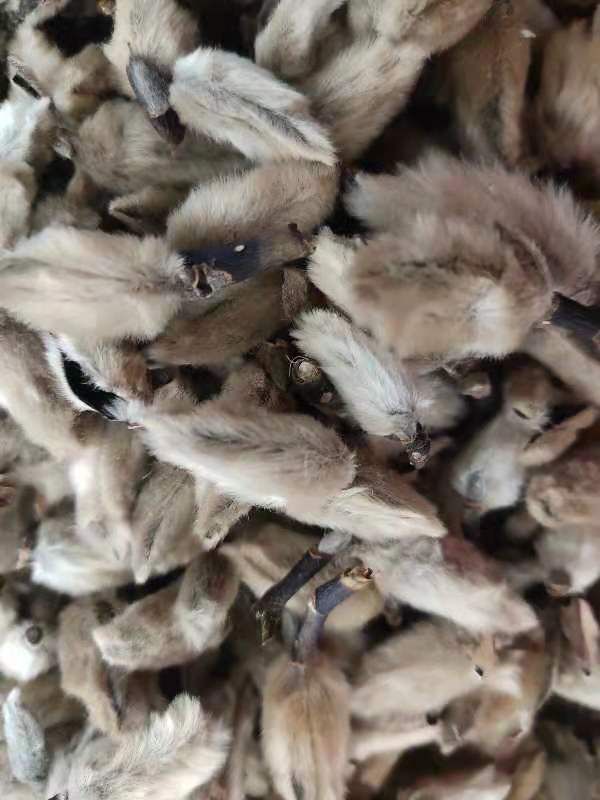 辛夷花   辛夷桃   天然干货辛夷花   一公斤起发货