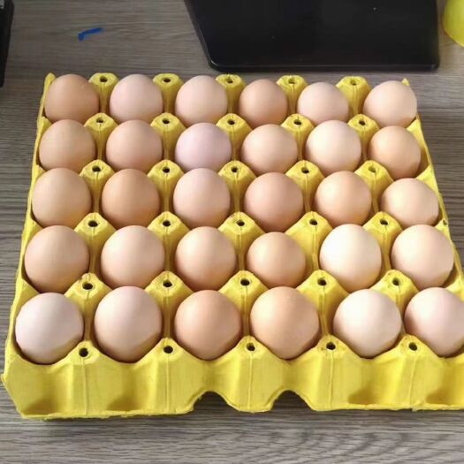 粉壳蛋 大厂粉壳鲜鸡蛋/360枚一件包装/全国供应