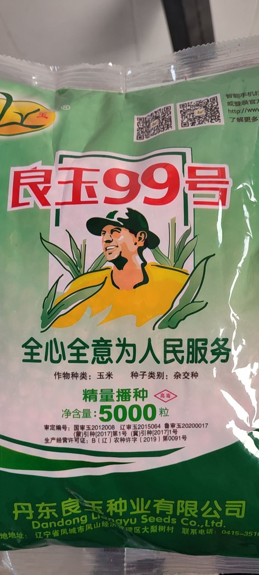 青县良玉99玉米种子  良玉99优质高产明星产品，耐密穗匀抗台风