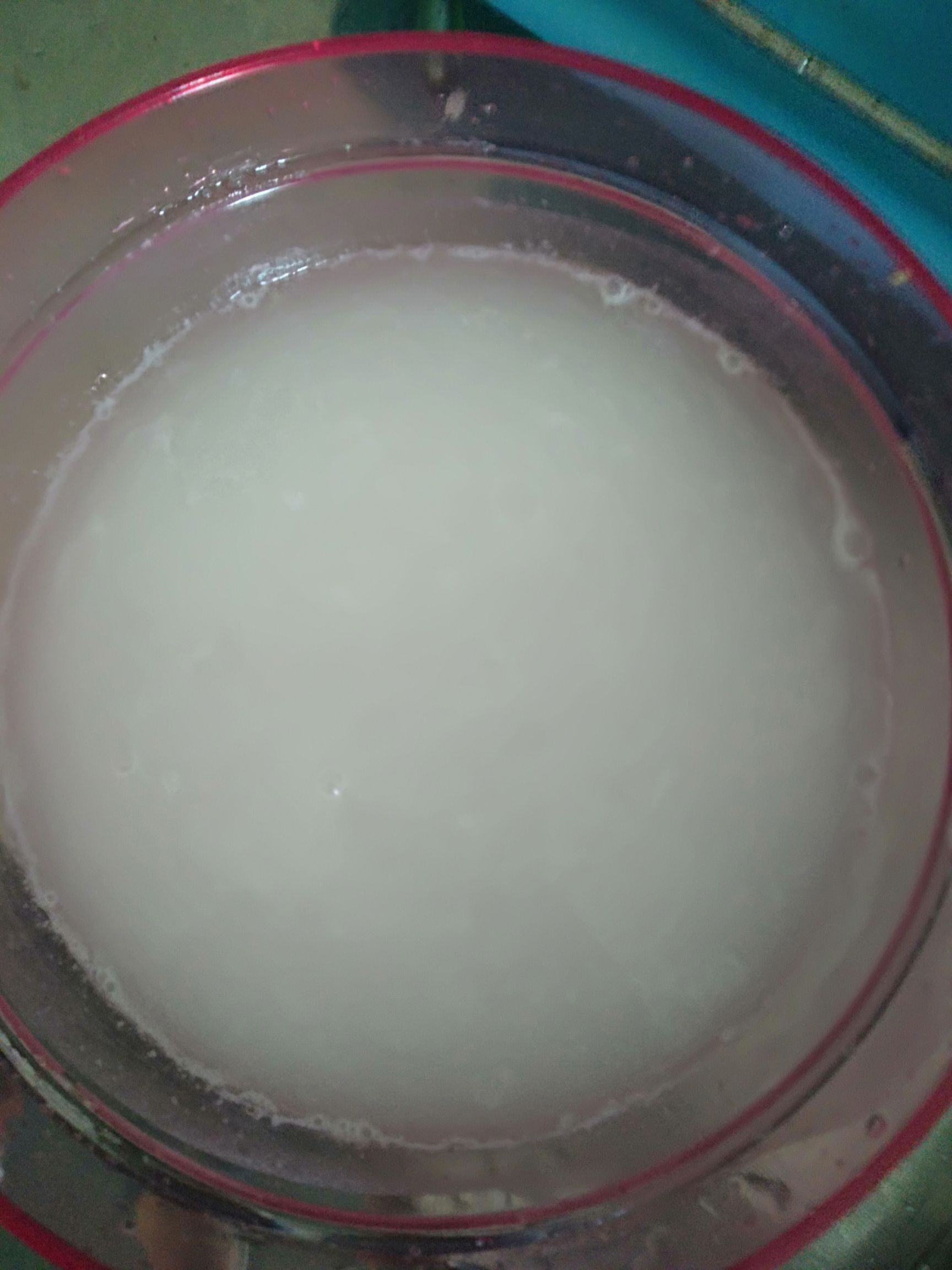  茂名特产，高州农家种植凉粉草