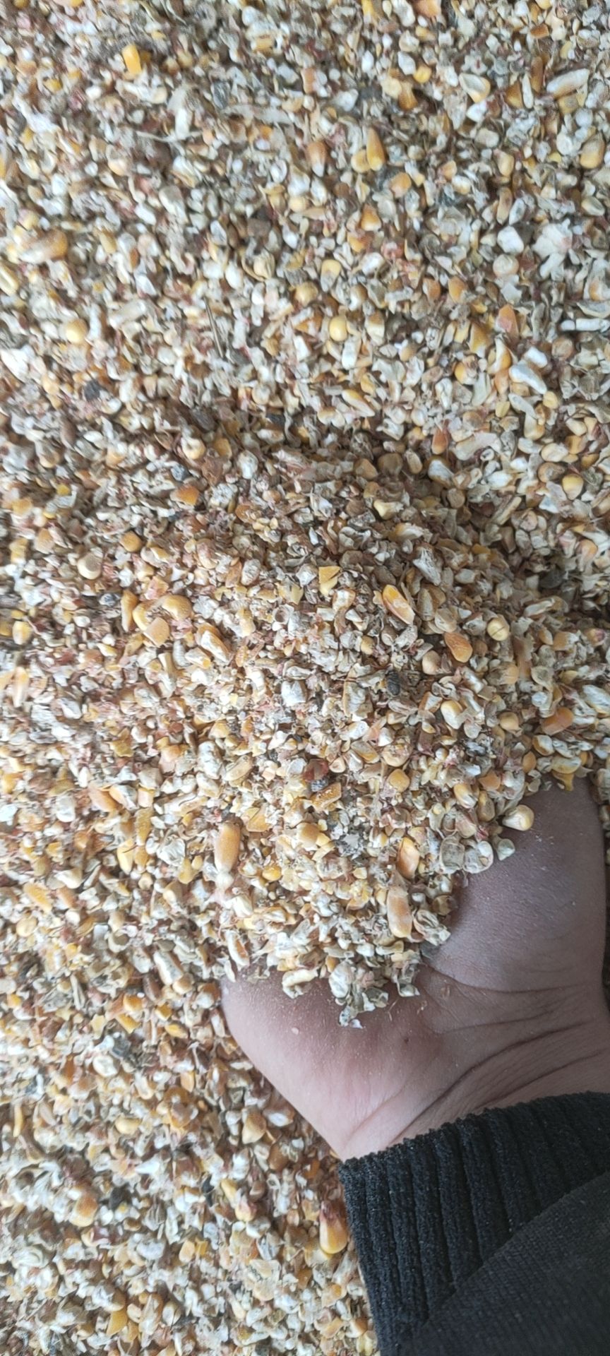 碎玉米 小麦漏