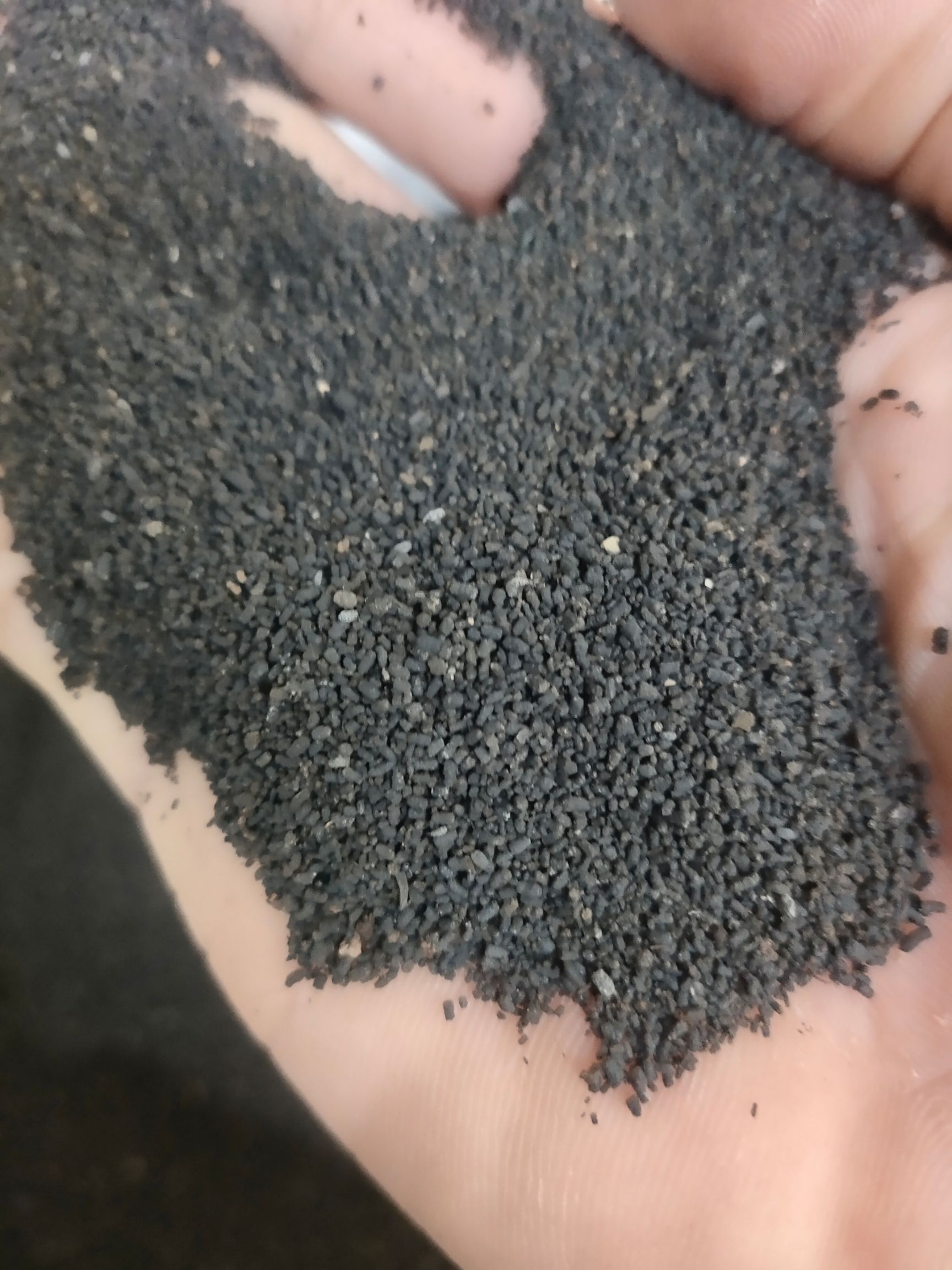 甜茶  虫茶   虫屎茶  陈年茶叶虫茶   龙珠茶 贵州虫