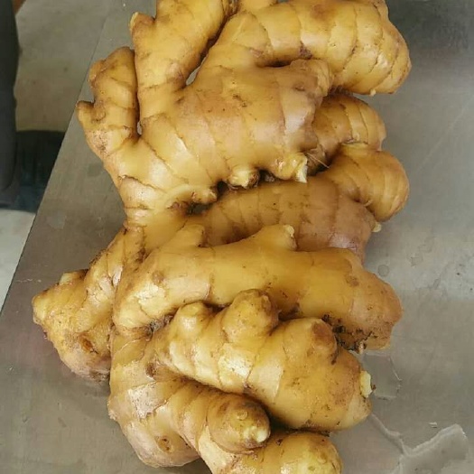砚山县云南大黄姜  精品生姜，老姜产地批发，一手货源，保质保量