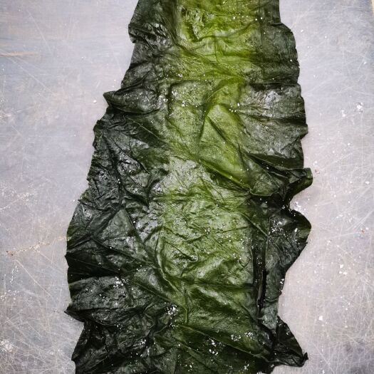 脱水盐渍海带大头
