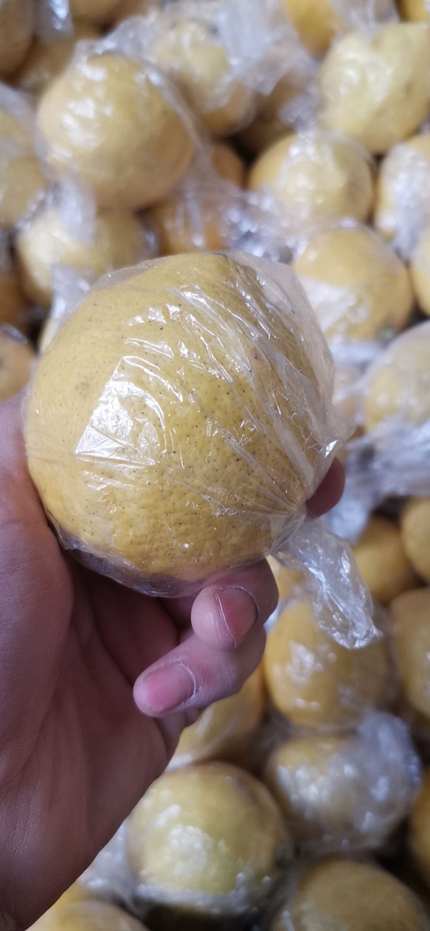 尤力克柠檬  新鲜安岳黄柠檬一二级黄柠檬