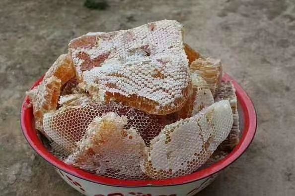  土蜂蜜