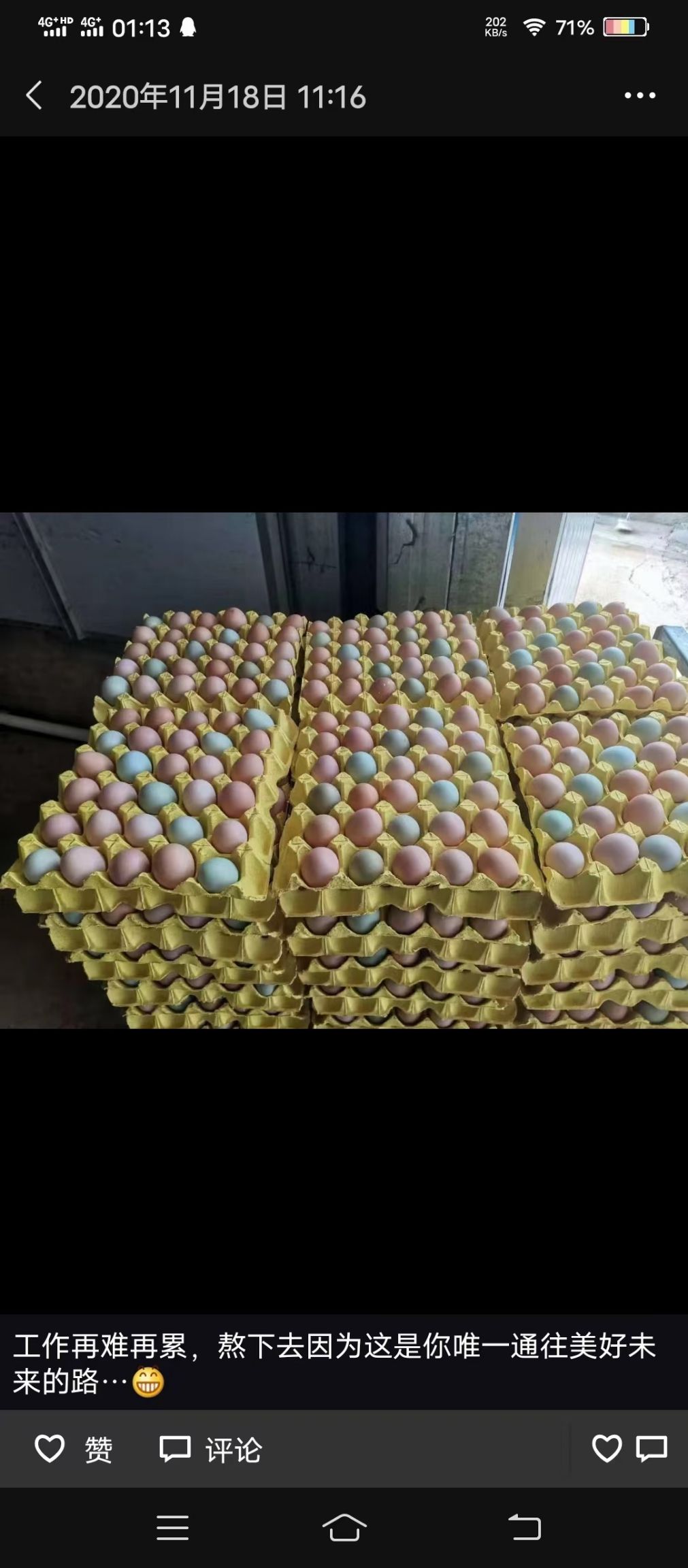钟祥市粉壳蛋  土鸡蛋混装420枚净重42斤左右