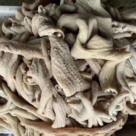 阳信县牛杂 抛开牛小肠