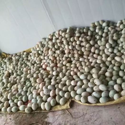 成都溏心皮蛋