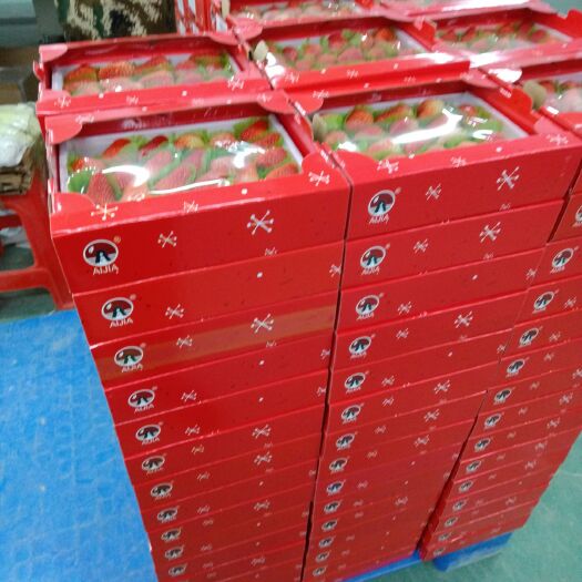 南通 江苏红颜草莓万亩基地