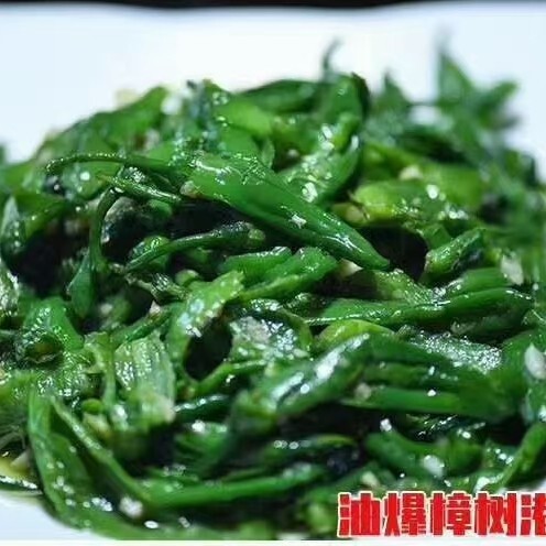 湘阴县 自有基地，樟树港辣椒，优质优价！