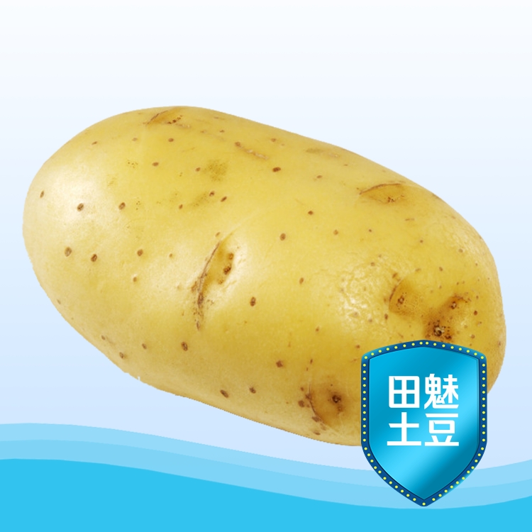 迷你土豆  多种大小土豆迷你小土豆价较低支持电商代发快递