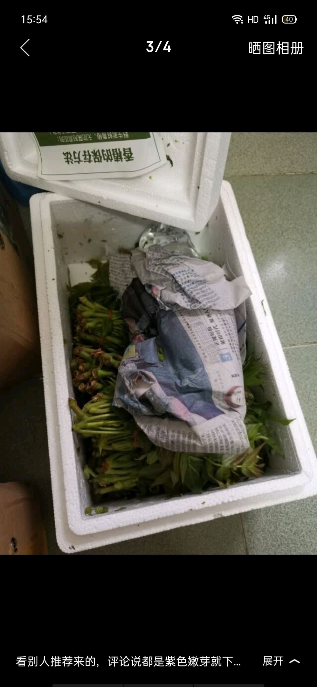 绿香椿芽 我们的香椿芽就是香