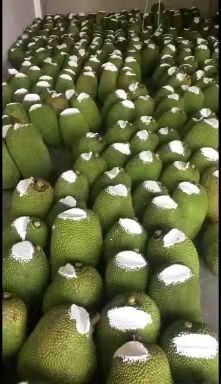 彭州市越南红肉菠萝蜜