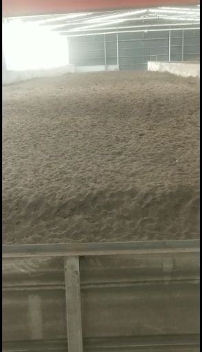 菌种发酵有机羊粪（粉状）