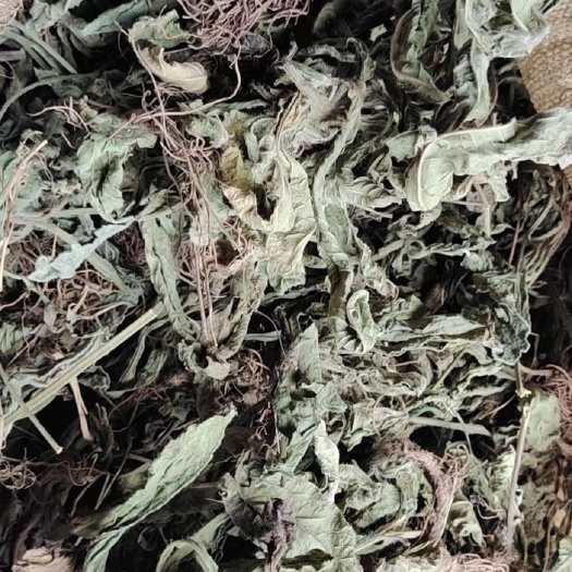 玉林地胆草  坐地娘干货    无硫红花地胆头草  苦地胆草