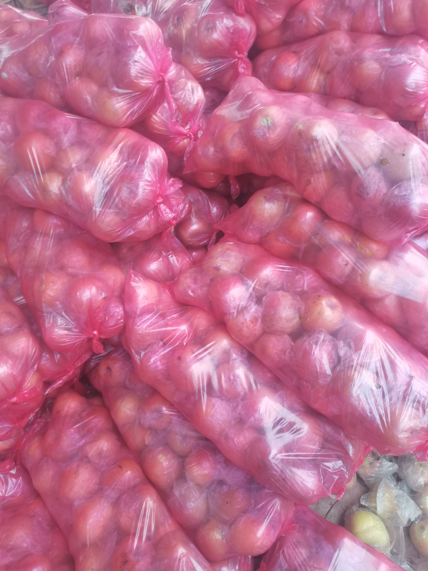 口感脆甜，红富士苹果，冷库苹果降价出售