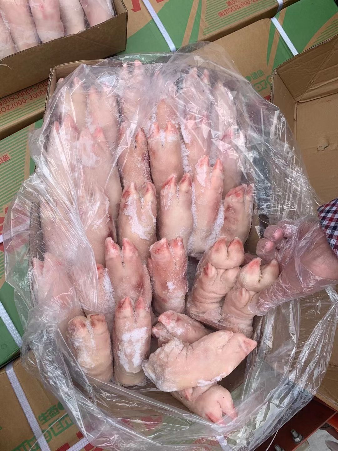 小猪蹄国产猪蹄猪蹄块2830左右带筋猪蹄去筋猪蹄一级带筋猪手