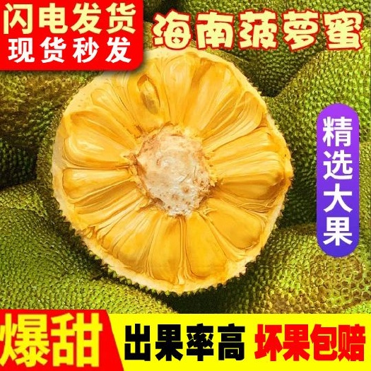 万宁市[电商代发+微商代发]海南黄肉菠萝蜜 、脆甜包邮坏果包赔