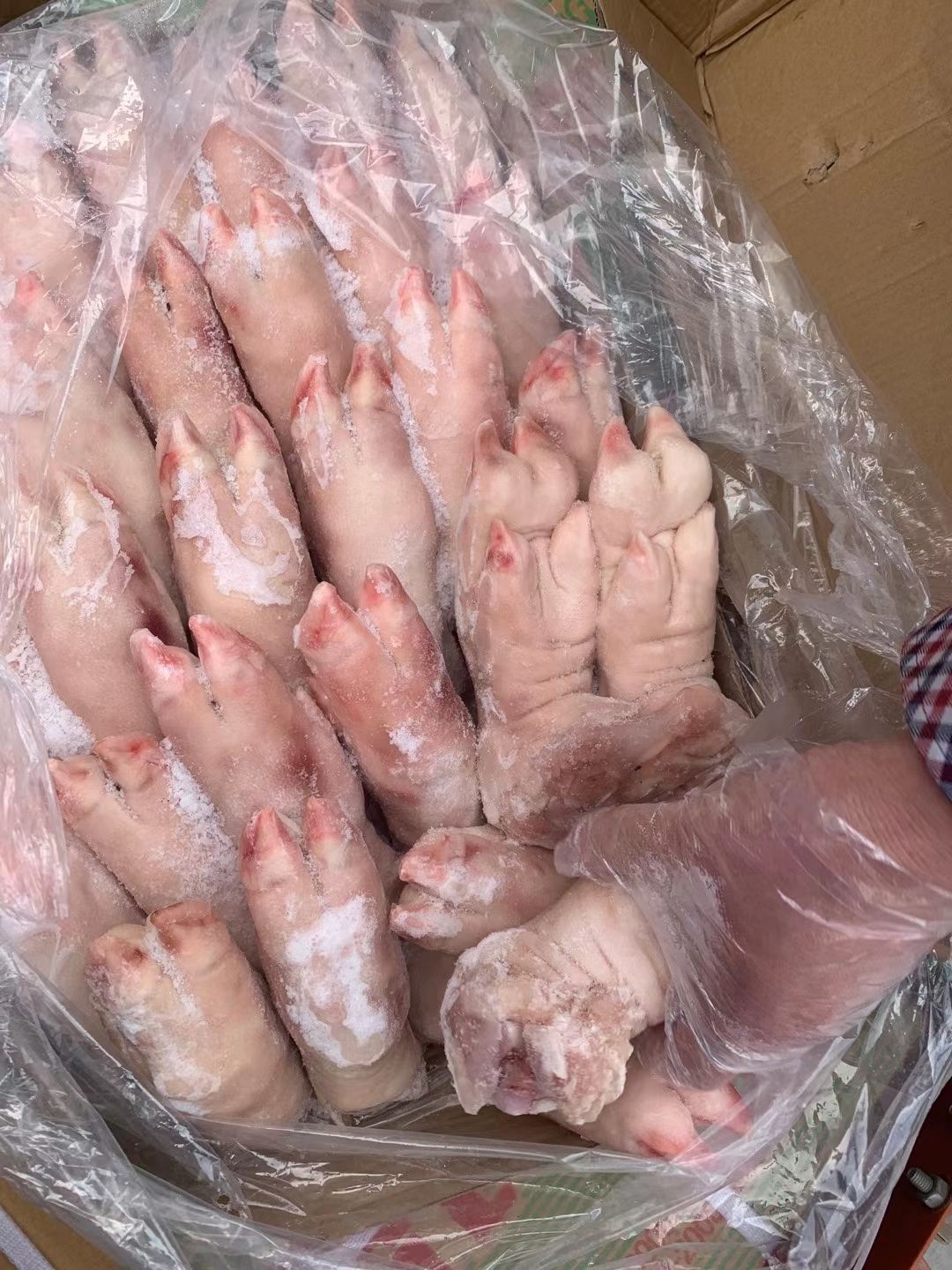 小猪蹄国产猪蹄猪蹄块2830左右带筋猪蹄去筋猪蹄一级带筋猪手
