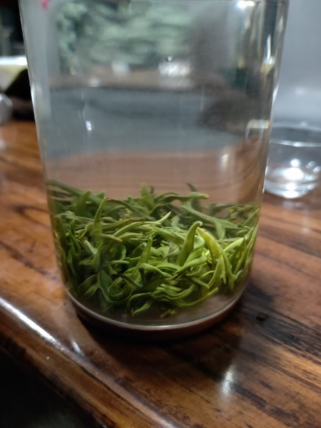  保靖黄金村黄金茶  168号茶叶