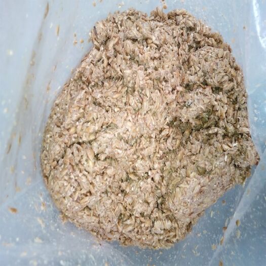 深圳高蛋白质含量，质优价便啤酒糟，养殖种植皆宜。