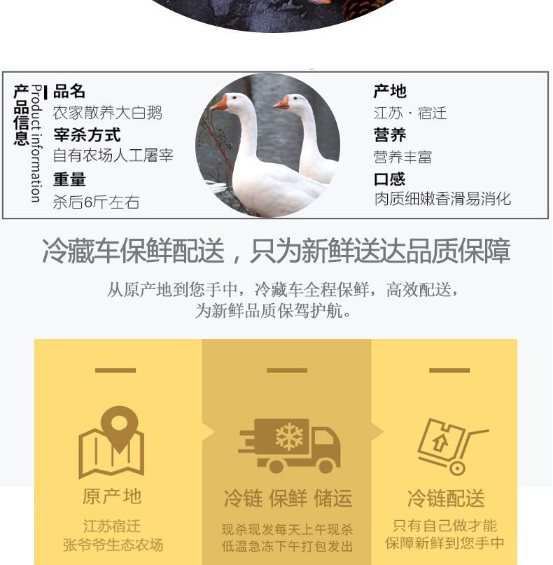 【散养大白鹅老鹅】超大农家土鹅新鲜嫩鹅现杀青年鹅老鹅肝鹅批发
