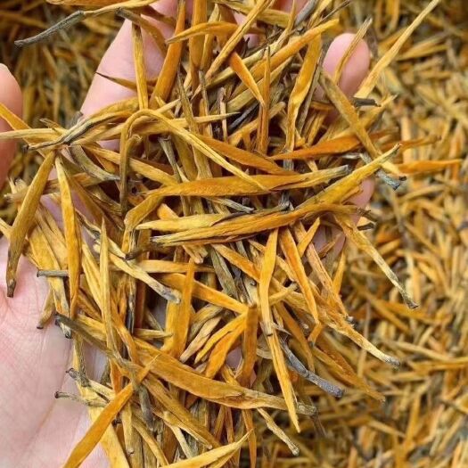 凤庆县滇红大金芽  生态、本色，甘甜