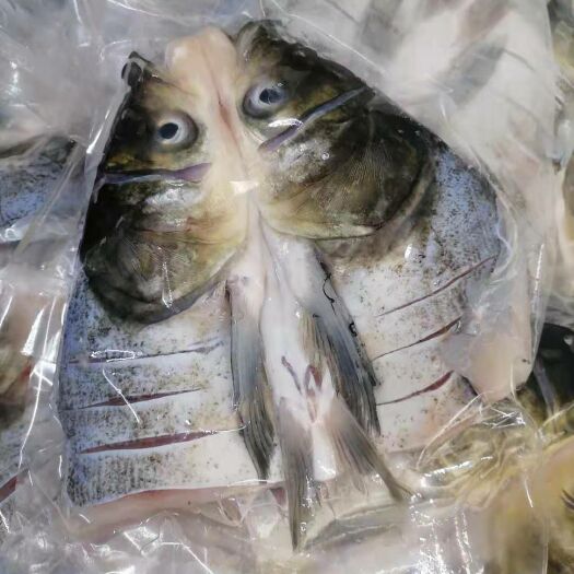 建湖县雄鱼 大花鲢鱼头