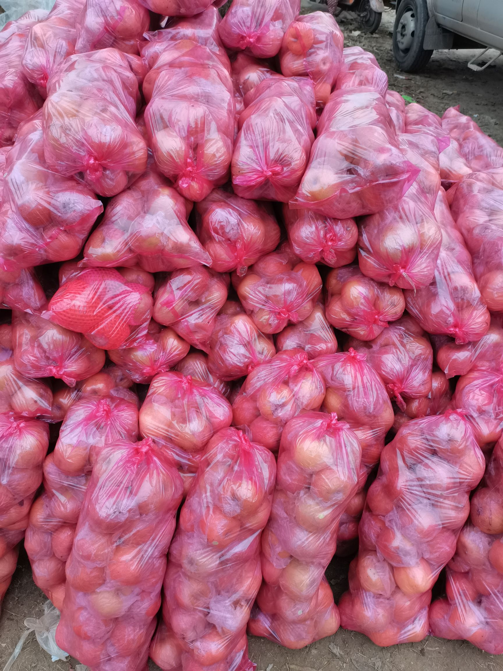 口感脆甜，红富士苹果，冷库苹果降价出售