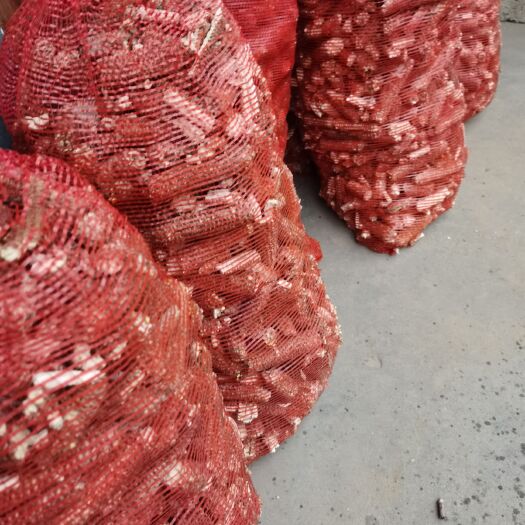 六安发酵饲料 玉米芯
