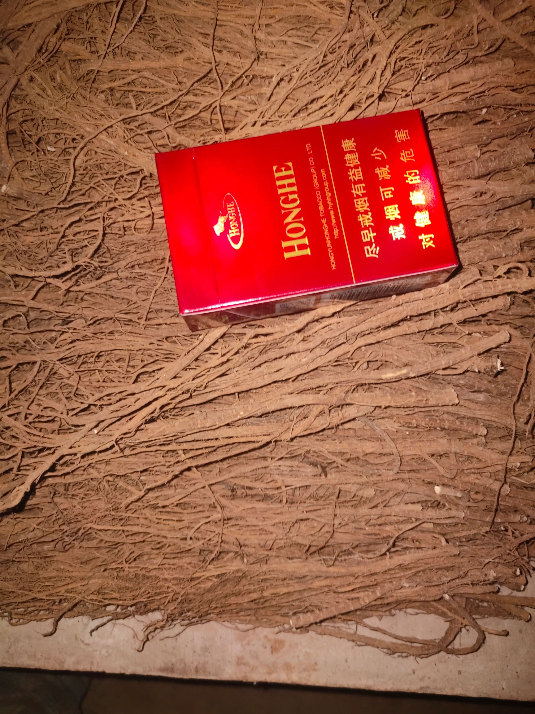 川滇柴胡 高原柴胡，高品质，