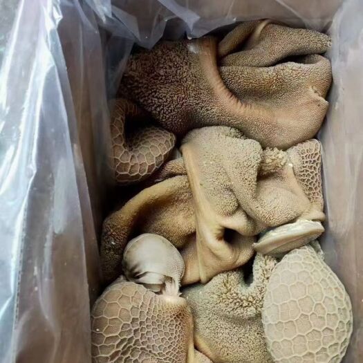 中牟县羊肚 羊毛肚
