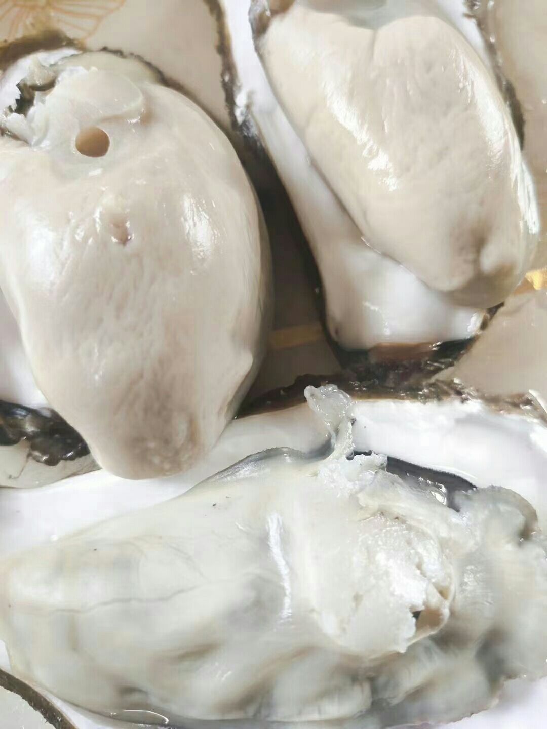 牡蛎 山东省威海市荣成市 鲜活水产