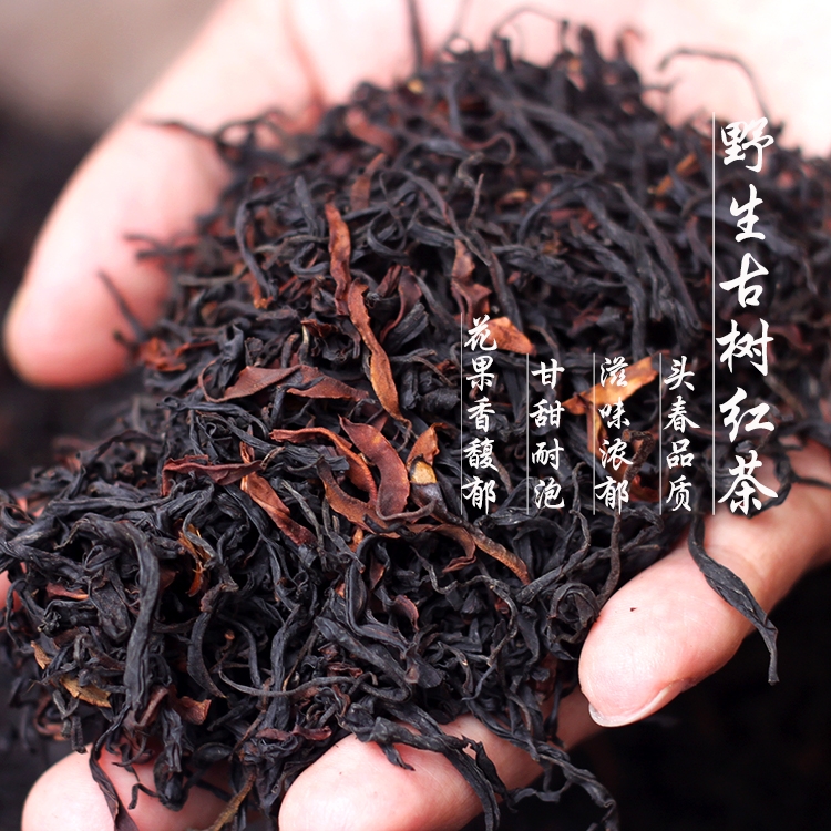 云南野生滇红茶金骏眉茶叶正山小种浓香型2023新茶礼